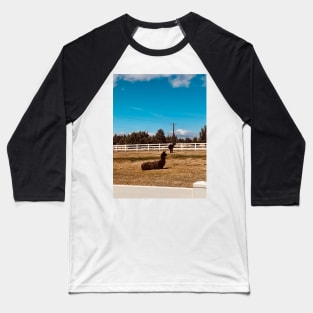 Alpaca Sunshine Baseball T-Shirt
